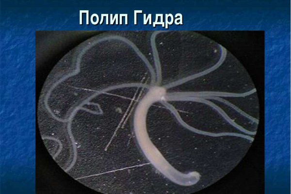Как зарегистрироваться на кракене