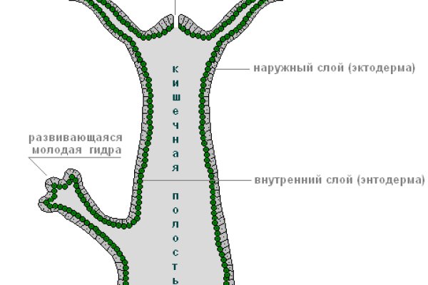 Адрес кракена