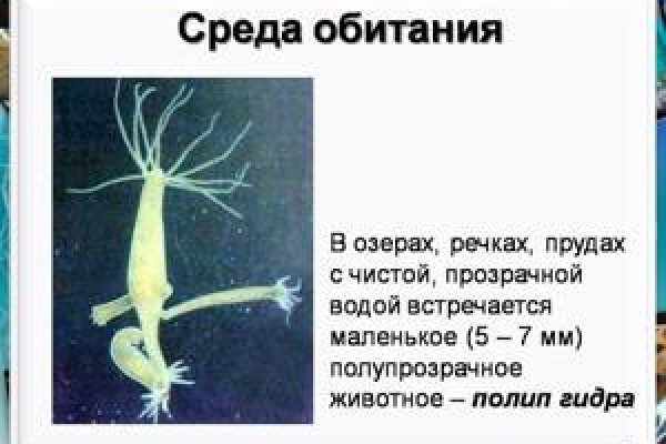 Кракен сайт пишет пользователь не найден