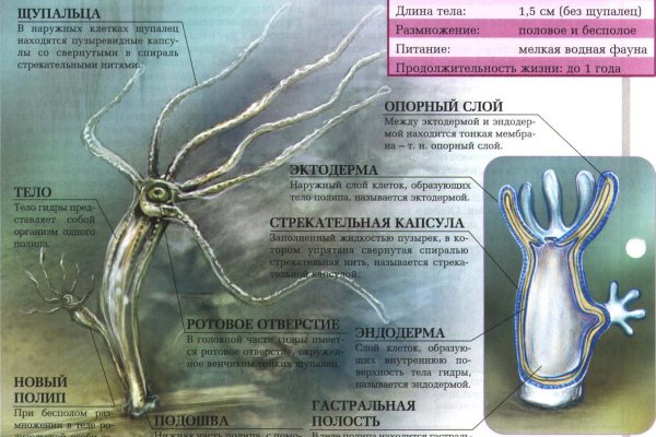 Кракен даркнет только через тор